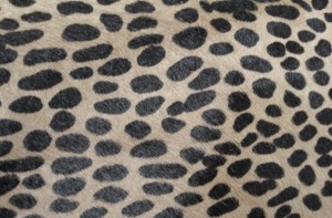 cheetah_skin
